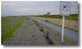 湘南海岸サイクリングロード：飛砂防止
